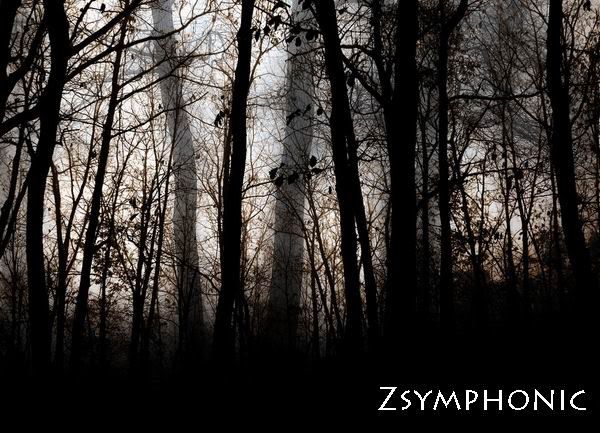 Zsymphonic