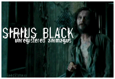 Harry Potter - Sirius Black 1