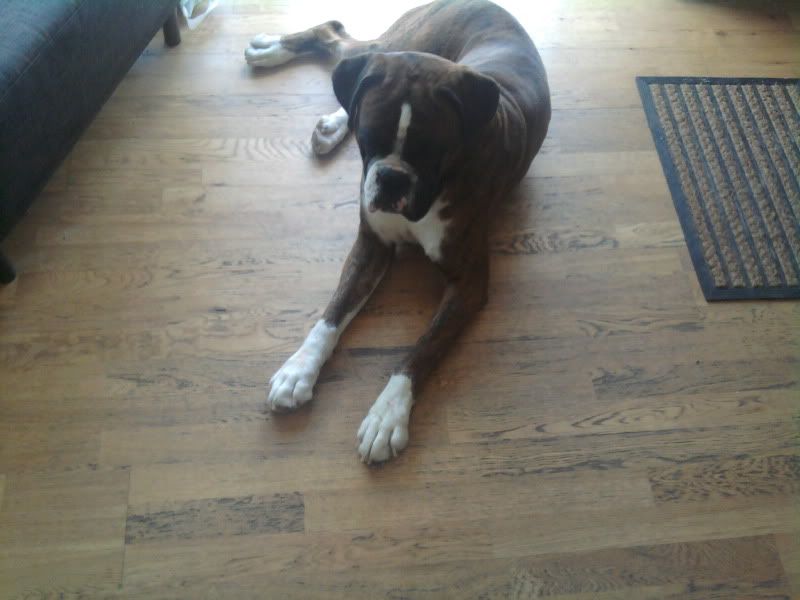 2010-08-31124330.jpg