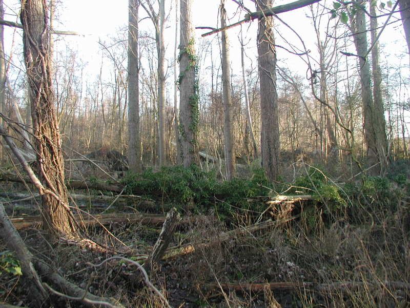 P1010025.jpg