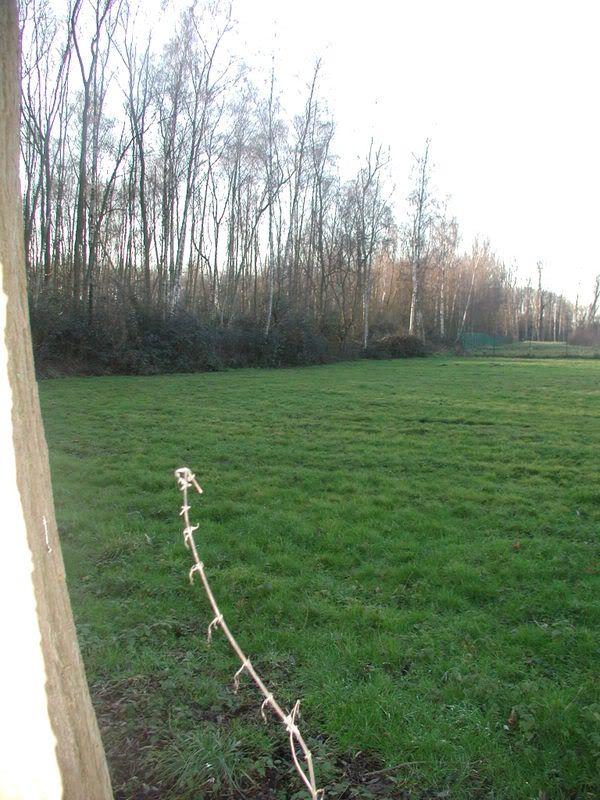 P1010029.jpg