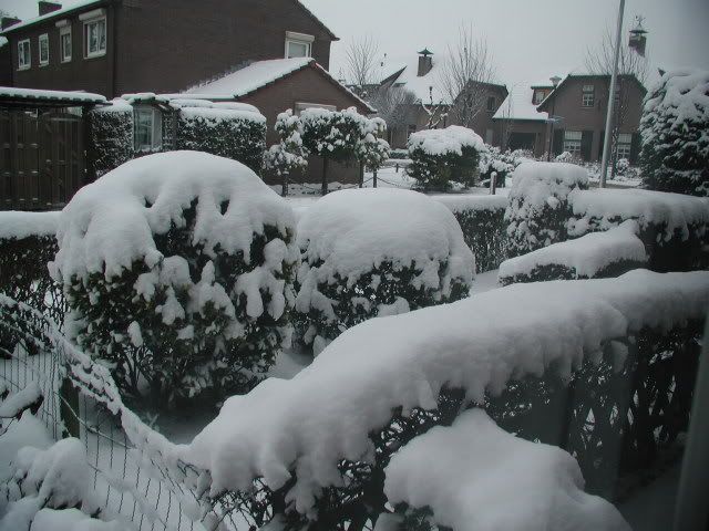 19-12006.jpg