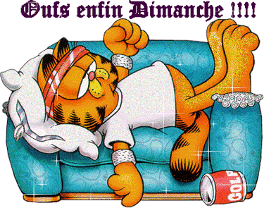 dimanched.gif Dimanche com picture by frand14