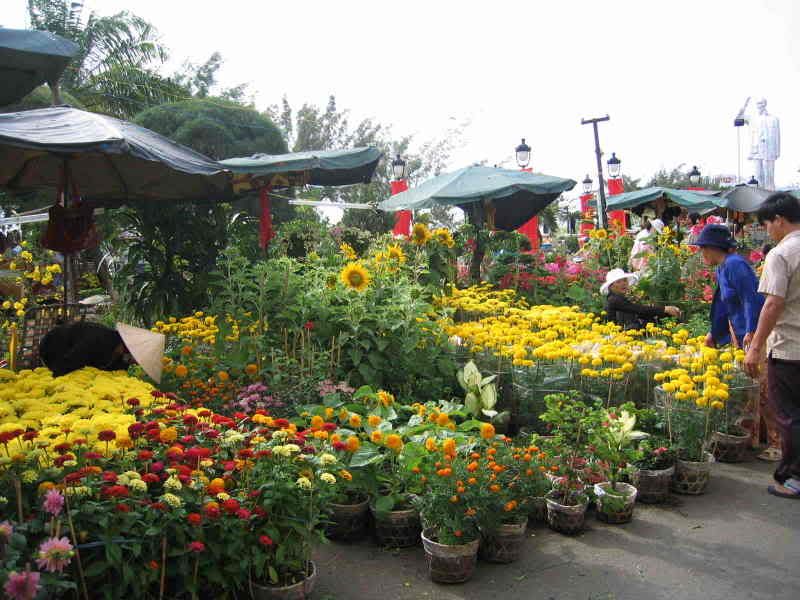 Tản mạn Cần Thơ
