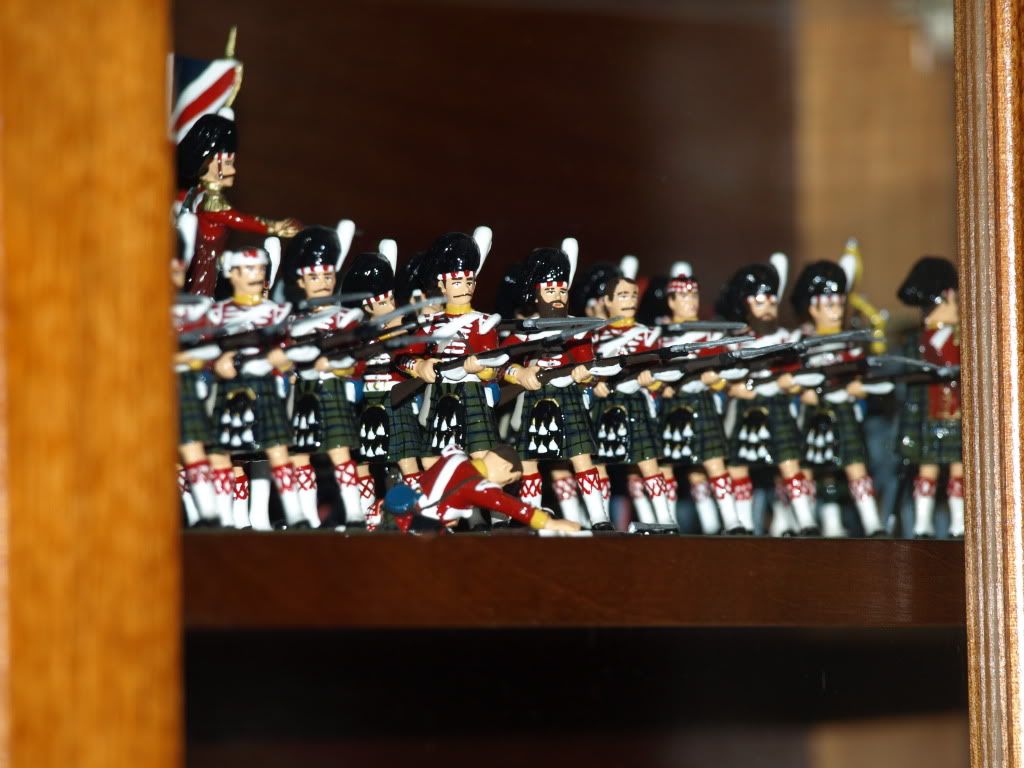 P1050007.jpg