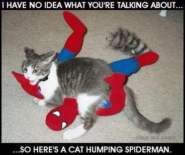 CAT HUMPING SPIDERMAN photo cat_spiderman.jpg