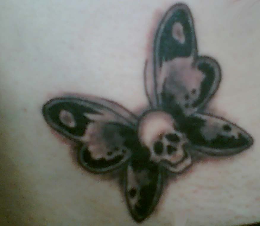 i like my butterfly skull tattoo in this photo butterfly skull Image