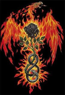 sage.jpg Pheonix, Fire, Rose &amp; Snake image by tennis_lover_girl