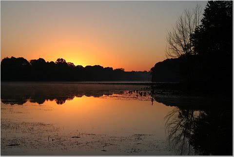 IMAGE: http://i127.photobucket.com/albums/p154/keithaba/47b5ce39b3127cce94f976a4da9b0000001.jpg