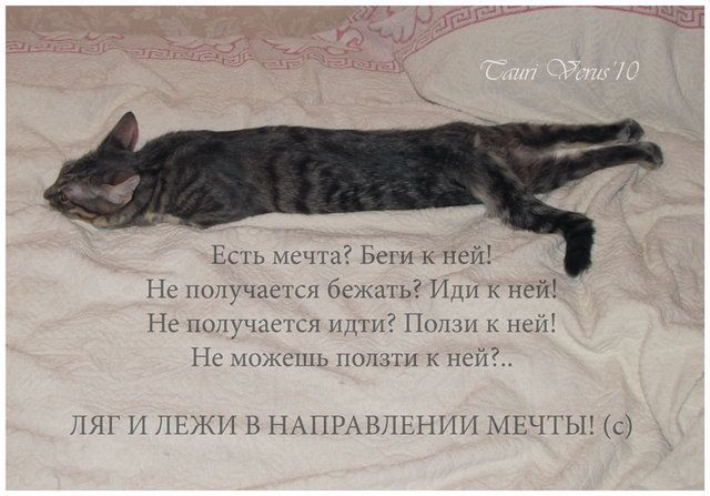  photo 00174rs4_zpsdc54f20f.jpg