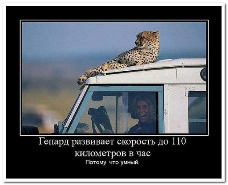  photo dc2ce7cd98b7b1806f2e945cfae_prev_zps887462f4.jpg