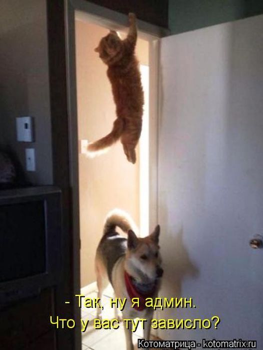  photo e5d702e469b238b70ba9706d9ea_zpsc3890bbb.jpg