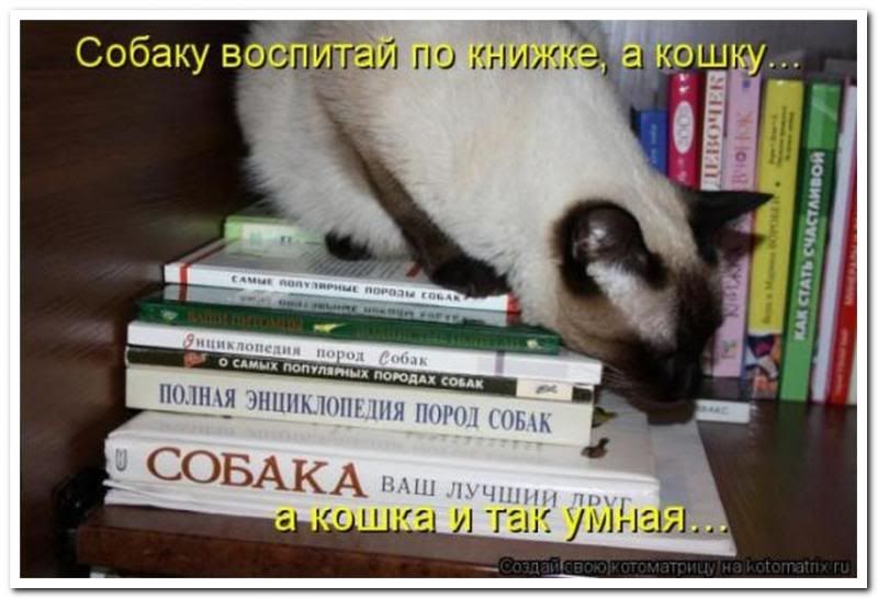  photo a0ae8689a72b6d28d920d8f0a5c_prev_zpsbc727cdb.jpg