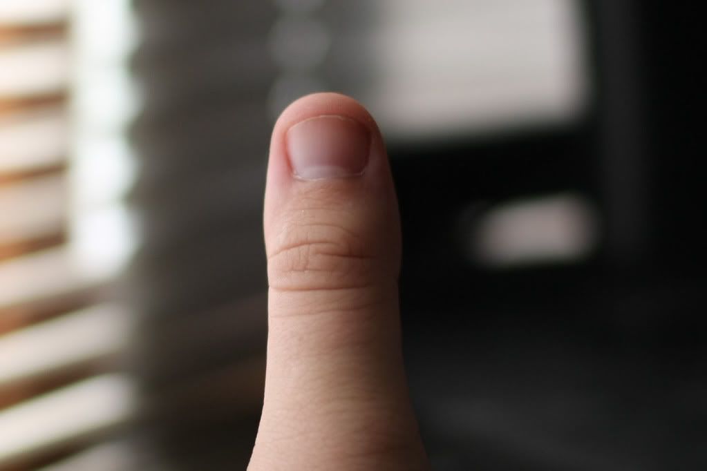 IMAGE: http://i127.photobucket.com/albums/p156/DSGstang03/012.jpg