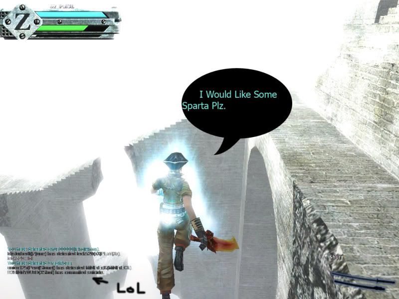 Gunz003copy.jpg