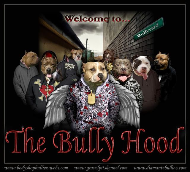 Bullies Dog Breed