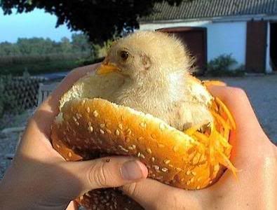 https://i127.photobucket.com/albums/p123/west-phoenix-az/BF2S/chicken-sandwich.jpg