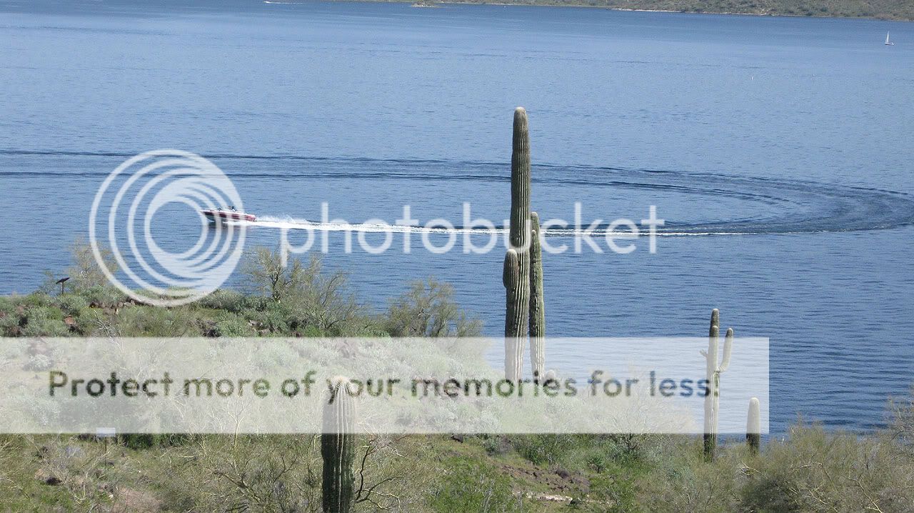 https://i127.photobucket.com/albums/p123/west-phoenix-az/BF2S/lake_pleasant_az_01.jpg