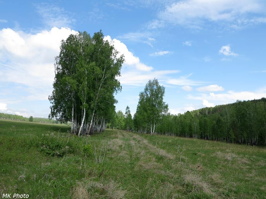 Падь Халялта