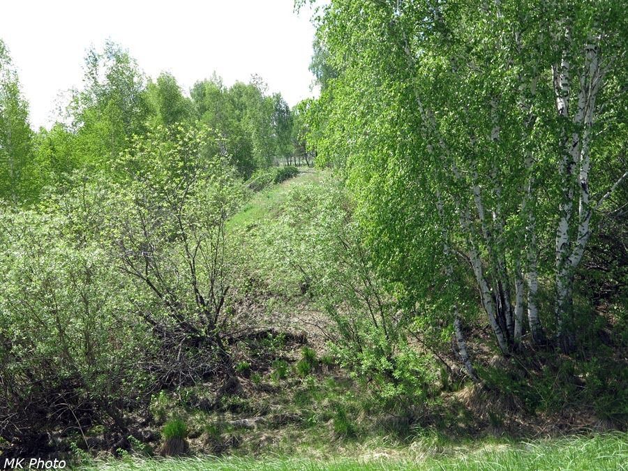 Разрыв в насыпи