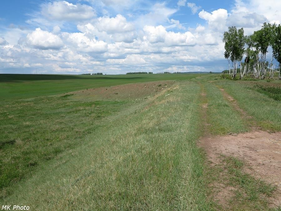 Насыпь и поле
