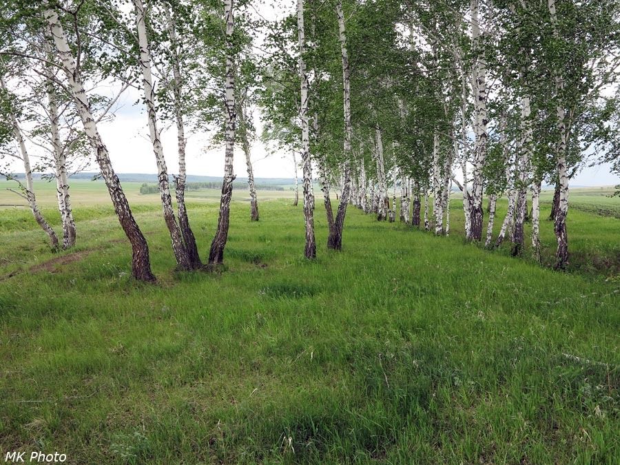 Пунктир бывшей линии