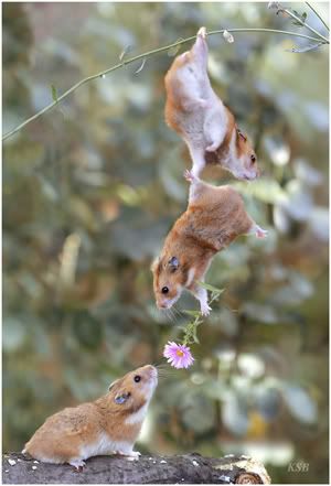 friendship-1.jpg