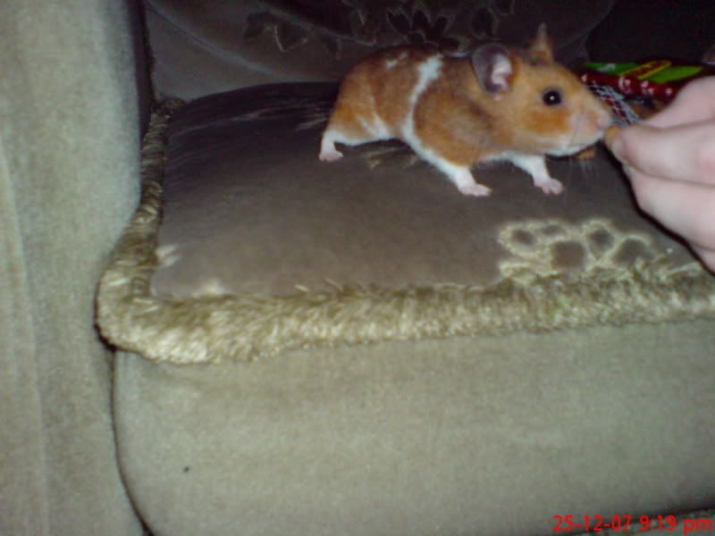 DSC00024.jpg