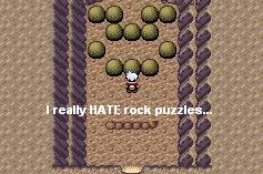 [PokeCommunity.com] R/S/E Monotype...A Lot.