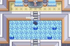 [PokeCommunity.com] R/S/E Monotype...A Lot.
