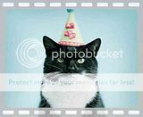 th_birthday_cat-1
