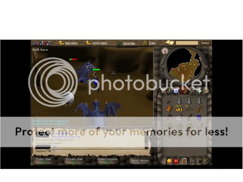 User Image
