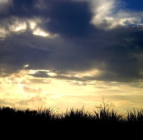 Sunset over Cane