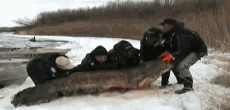 photo c6ff44471d6de605bab3078ecb2_zps7bbc2fa1.gif